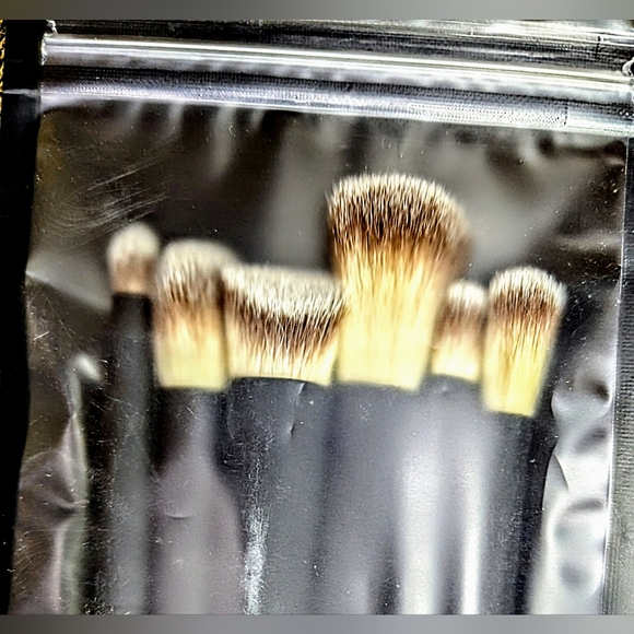 5/75$ LITHE BEAUTY Everyday Brush Set - Picture 5 of 7